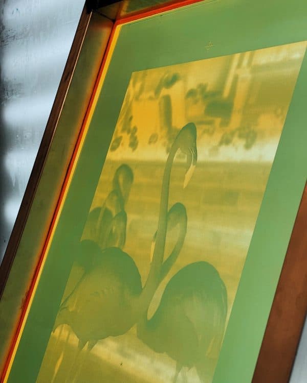 SCREEN EXPOSURE - Image 3