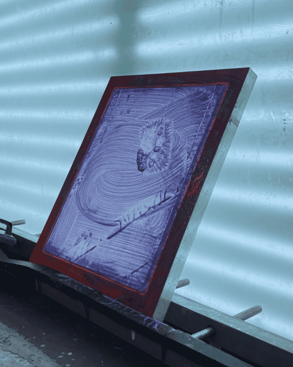 STRIP CLEAN - Image 4