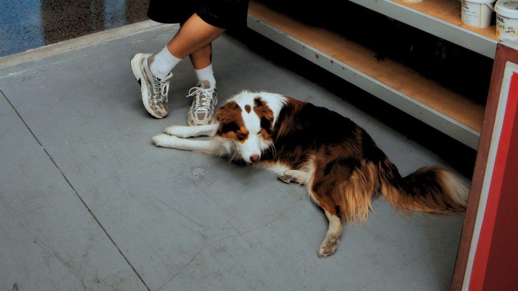 Chris Benson, self-taught screen printer and owner of Cherry Studios, pictured in his production space with screens and equipment behind him—capturing the hustle, growth and authenticity described in the Behind the Mesh December 2025 interview.